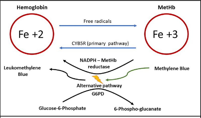 Methemoglobin là một trạng thái thay đổi của hemoglobin trong đó sắt heme bị oxy hóa từ dạng sắt (Fe  2+) thành dạng sắt (Fe 3+).